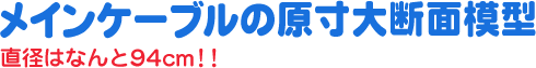 メインケーブルの原寸大断面模型